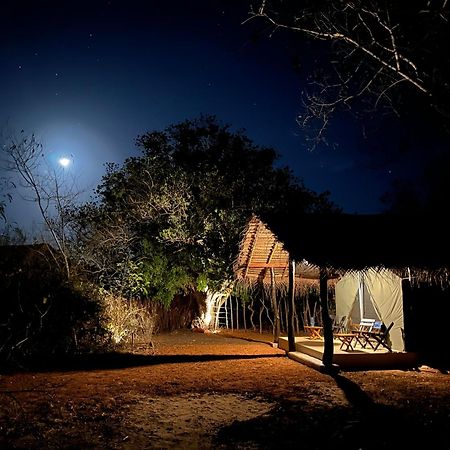 Ranakeliya Lodge - Yala Eksteriør billede