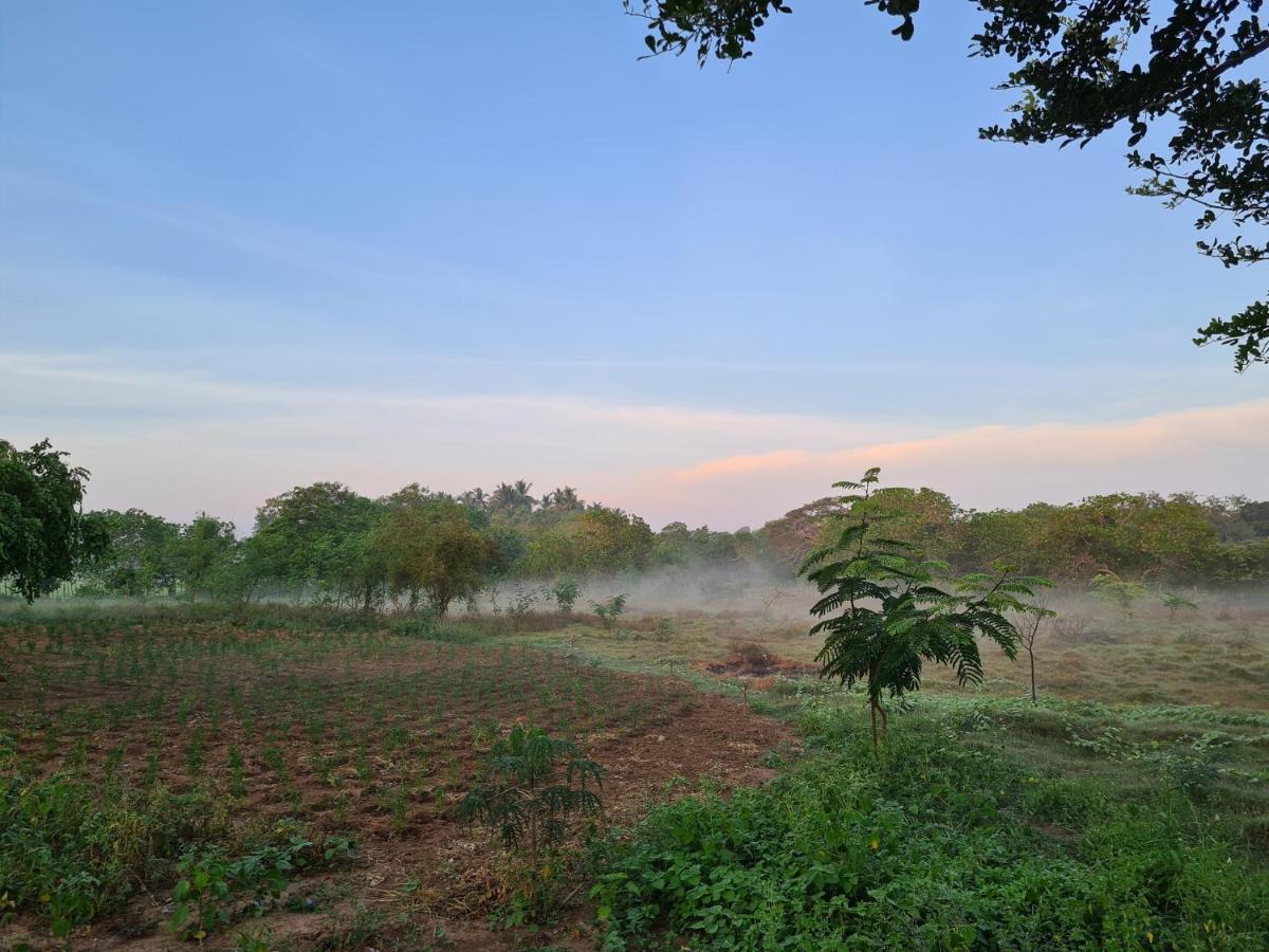 Ranakeliya Lodge - Yala Eksteriør billede