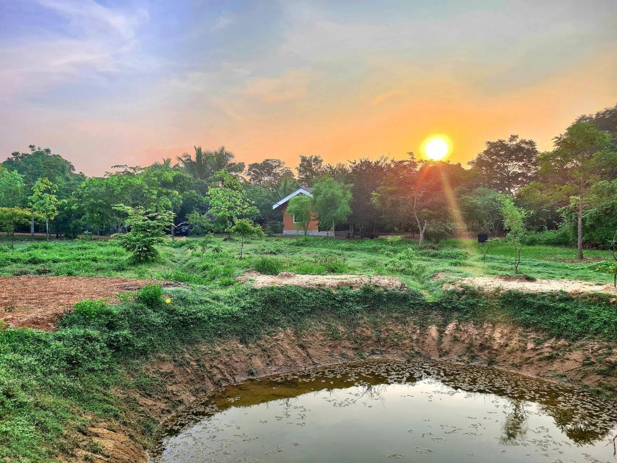 Ranakeliya Lodge - Yala Eksteriør billede