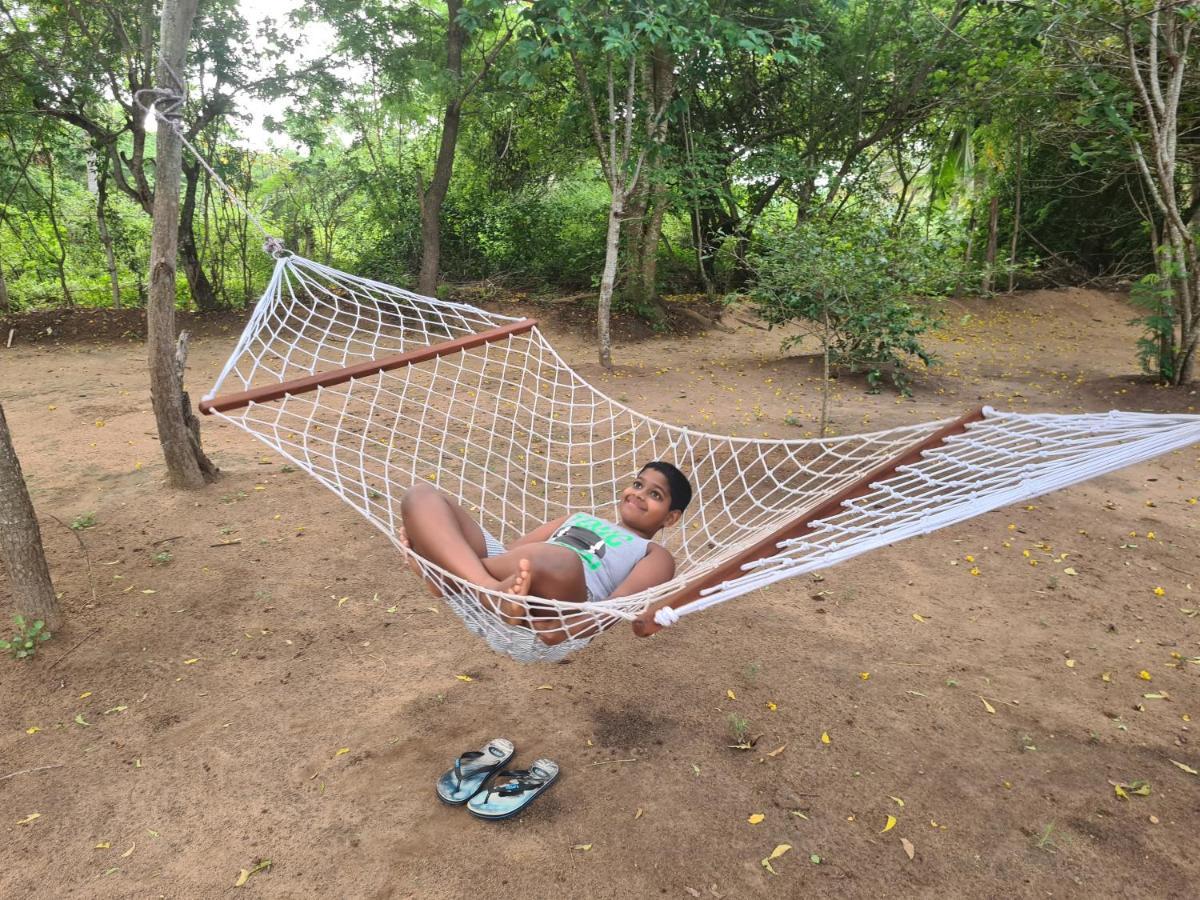 Ranakeliya Lodge - Yala Eksteriør billede