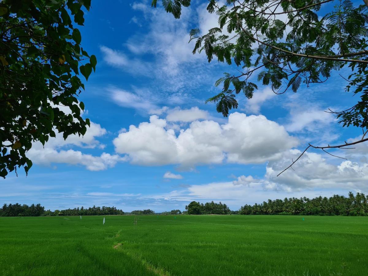 Ranakeliya Lodge - Yala Eksteriør billede