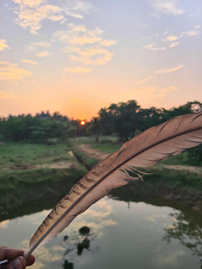 Ranakeliya Lodge - Yala Eksteriør billede