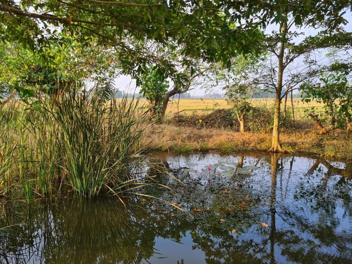 Ranakeliya Lodge - Yala Eksteriør billede